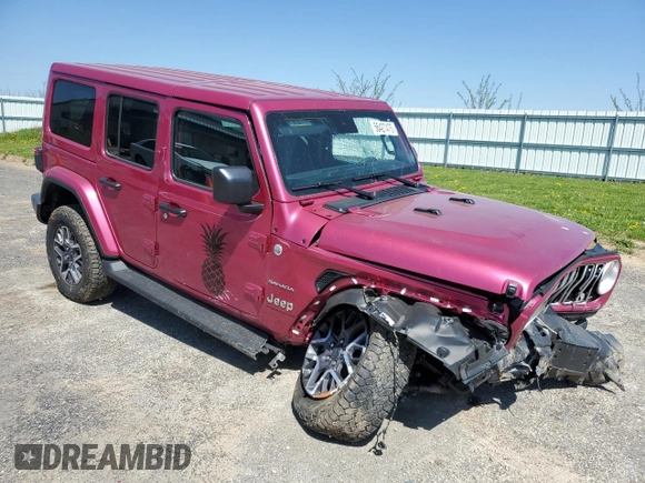 2024 Jeep Wrangler Sahara with VIN 1C4PJXEG8RW336631, listed as a Copart auction lot 56427475 with Not provided miles and Salvage title. Bid and sale history available at DreamBid. Image 4.