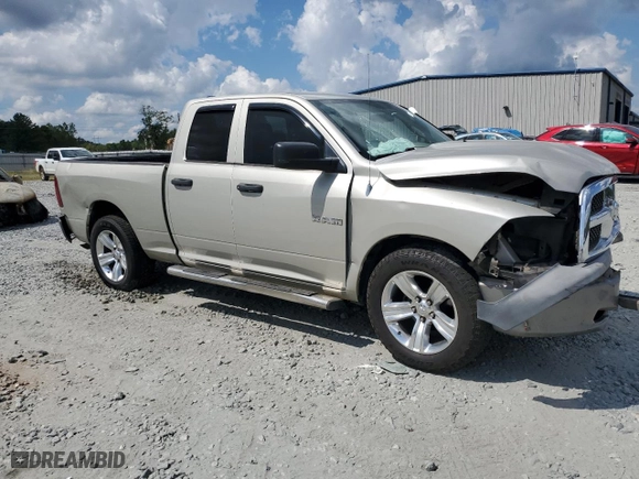 2010 Dodge Ram 1500 ST with VIN 1D7RB1GP4AS189726, listed as a Copart auction lot 69798884 with 226,867 mi miles and Salvage Title. Bid and sale history available at carsss.com. Image 4.