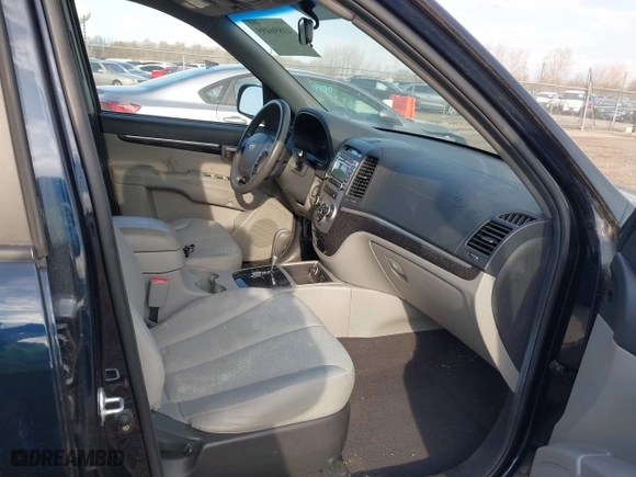 2009 Hyundai Santa Fe GLS with VIN 5NMSG13D09H299043, listed as a IAAI auction lot 41896495 with 208,263 mi miles. Bid and sale history available at carsss.com. Image 5.