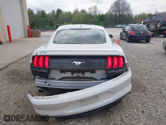 2023 Ford Mustang EcoBoost с VIN 1FA6P8TH2P5110069, выставлен на аукционе IAAI как лот 41941535 с пробегом Не указан миль и . История ставок и продаж доступна на DreamBid. Изображение 17.