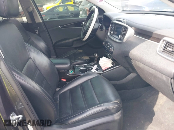 2017 Kia Sorento EX V6 with VIN 5XYPH4A54HG187743, listed as a IAAI auction lot 41490227 with 208,553 mi miles. Bid and sale history available at carsss.com. Image 5.