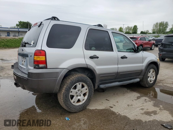 2006 Ford Escape XLT with VIN 1FMCU93156KA73772, listed as a Copart auction lot 55658445 with 217,335 mi miles and Salvage title. Bid and sale history available at DreamBid. Image 3.