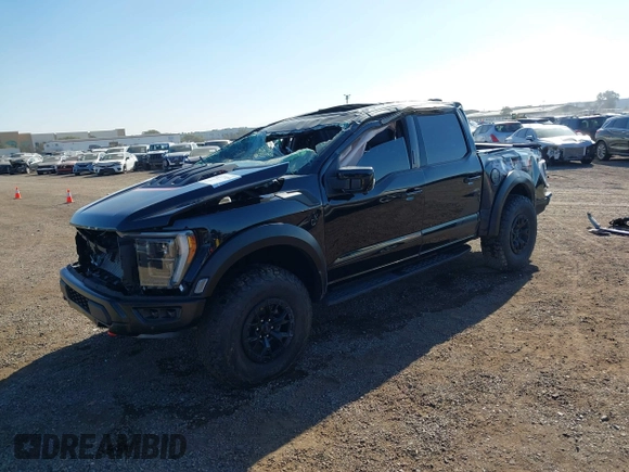 2023 Ford F-150 Raptor with VIN 1FTFW1RJ0PFA44288, listed as a IAAI auction lot 41177459 with 11,146 mi miles and . Bid and sale history available at DreamBid. Image 17.