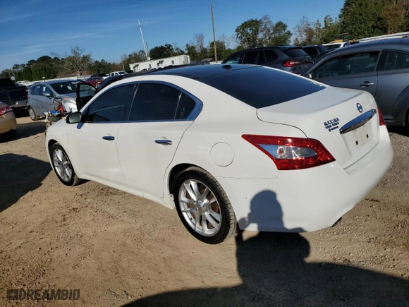 2010 Nissan Maxima 3.5 SV w/Premium Pkg with VIN 1N4AA5AP5AC845541, listed as a Copart auction lot 82057984 with 80,146 mi miles and Salvage Title. Bid and sale history available at carsss.com. Image 2.