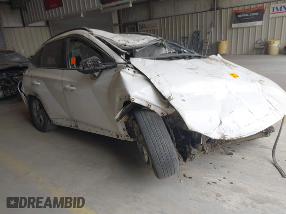 2024 Hyundai Tucson SEL with VIN 5NMJB3DE9RH316645, listed as a IAAI auction lot 41624789 with Not Provided miles and . Bid and sale history available at DreamBid. Image 1.