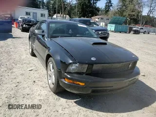 2009 Ford Mustang with VIN 1ZVHT80N295107200, listed as a Copart auction lot 53107595 with 102,704 mi miles and Salvage Title. Bid and sale history available at carsss.com. Image 11.