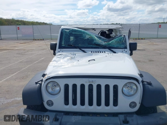 2018 Jeep Wrangler Unlimited Sport S with VIN 1C4BJWDG3JL810853, listed as a IAAI auction lot 42074032 with 141,942 mi miles and . Bid and sale history available at DreamBid. Image 6.