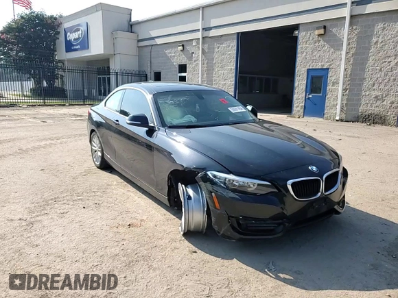 2015 BMW 2 Series 228i xDrive with VIN WBA1G9C51FVX96763, listed as a Copart auction lot 69091454 with 100,816 mi miles and Salvage Title. Bid and sale history available at DreamBid. Image 11.