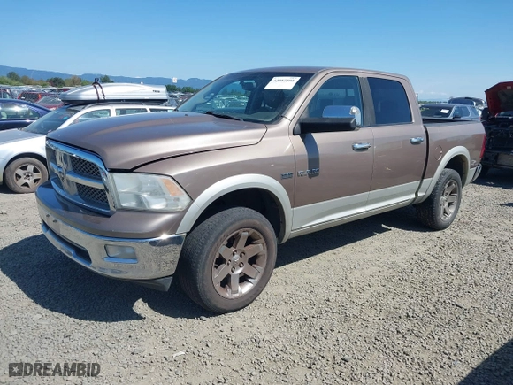 2010 Dodge Ram 1500 Sport with VIN 1D7RV1CT7AS151868, listed as a IAAI auction lot 42087508 with 296,357 mi miles. Bid and sale history available at carsss.com. Image 17.