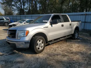 2013 Ford F-150 XL with VIN 1FTFW1CF4DKE48752, listed as a Copart auction lot 49766315 with 270,054 mi miles and Salvage Title. Bid and sale history available at carsss.com. Image 1.