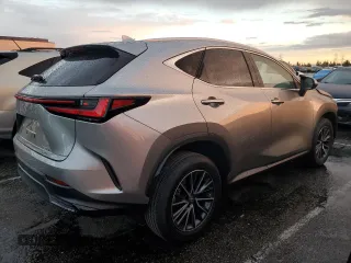 2023 Lexus NX with VIN 2T2GGCEZ4PC025580, listed as a Copart auction lot 81825503 with 5,922 mi miles. Bid and sale history available at carsss.com. Image 3.