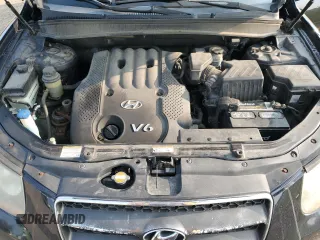 2007 Hyundai Santa Fe GLS z VIN 5NMSG13D87H128358, wystawiony jako Copart lot #59584095 z przebiegiem 208 151 mil mil oraz Czysty tytuł • Clean title. Historia ofert i sprzedaży dostępna na DreamBid. Obrazek 12.