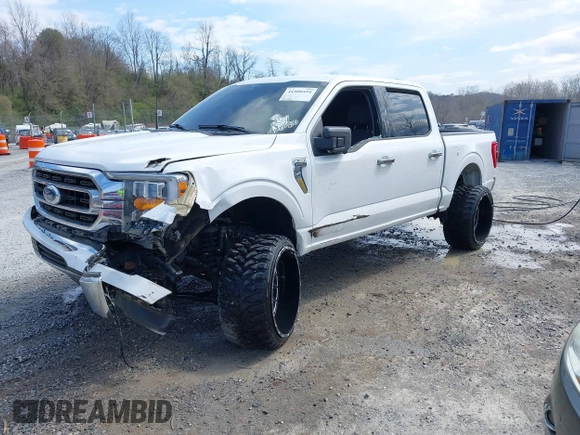 2023 Ford F-150 XL with VIN 1FTEW1C58PKE81292, listed as a IAAI auction lot 41900494 with 34,753 mi miles and . Bid and sale history available at DreamBid. Image 2.