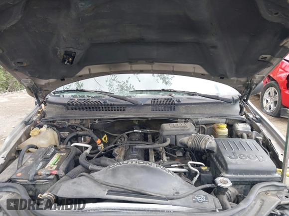 2001 Jeep Grand Cherokee Laredo z VIN 1J4GW48S01C658017, wystawiony jako IAAI lot #42160310 z przebiegiem 220 309 mil mil oraz . Historia ofert i sprzedaży dostępna na DreamBid. Obrazek 10.