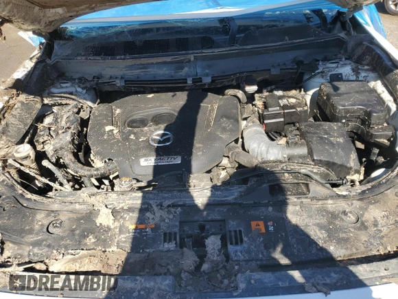 2018 Mazda CX-9 Signature with VIN JM3TCBEYXJ0204134, listed as a Copart auction lot 46318685 with Not provided miles and Salvage title. Bid and sale history available at DreamBid. Image 12.