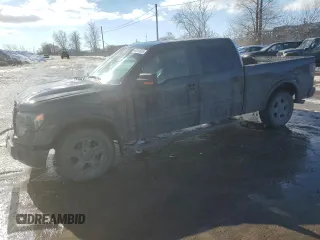 2013 Ford F-150 XL with VIN 1FTFW1CF2DFD07185, listed as a Copart auction lot 46261025 with 282,067 mi miles and Salvage Title. Bid and sale history available at carsss.com. Image 1.