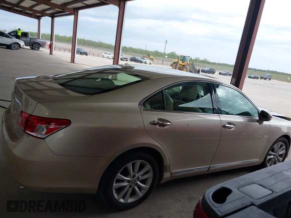 2010 Lexus ES 330 with VIN JTHBK1EG1A2389198, listed as a IAAI auction lot 41918159 with 118,937 mi miles and . Bid and sale history available at DreamBid. Image 12.