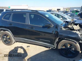 2019 Jeep Cherokee Latitude Plus with VIN 1C4PJLLBXKD339287, listed as a IAAI auction lot 41216180 with 123,265 mi miles. Bid and sale history available at carsss.com. Image 1.