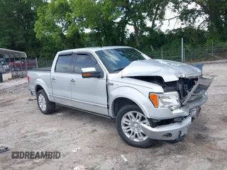 2009 Ford F-150 XL with VIN 1FTPW12V69FB41497, listed as a IAAI auction lot 42497622 with 255,558 mi miles and . Bid and sale history available at DreamBid. Image 1.