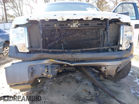 2009 Ford F-150 STX with VIN 1FTRX12W99KB72877, listed as a IAAI auction lot 41341609 with 315,102 mi miles. Bid and sale history available at carsss.com. Image 6.