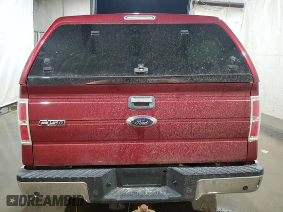 2014 Ford F-150 XL with VIN 1FTFX1EF1EFA89204, listed as a Copart auction lot 86800594 with Not Provided miles and Non Repairable. Bid and sale history available at carsss.com. Image 6.