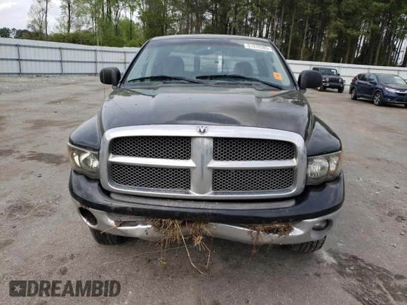 2002 Dodge 1500 z VIN 1D7HU18Z32J255342, wystawiony jako Copart lot #51678385 z przebiegiem 195 161 mil mil oraz Szkoda całkowita • Salvage title. Historia ofert i sprzedaży dostępna na DreamBid. Obrazek 5.