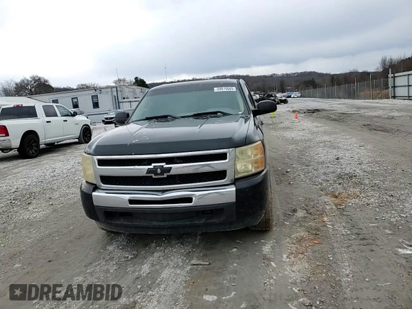 2010 Chevrolet Silverado 1500 LT with VIN 3GCRCSEA4AG191401, listed as a Copart auction lot 89079065 with 234,365 mi miles and Salvage Title. Bid and sale history available at DreamBid. Image 11.