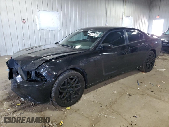 2013 Dodge Charger RT with VIN 2C3CDXDT7DH513119, listed as a Copart auction lot 53965495 with 165,435 mi miles and Non Repairable. Bid and sale history available at carsss.com. Image 1.