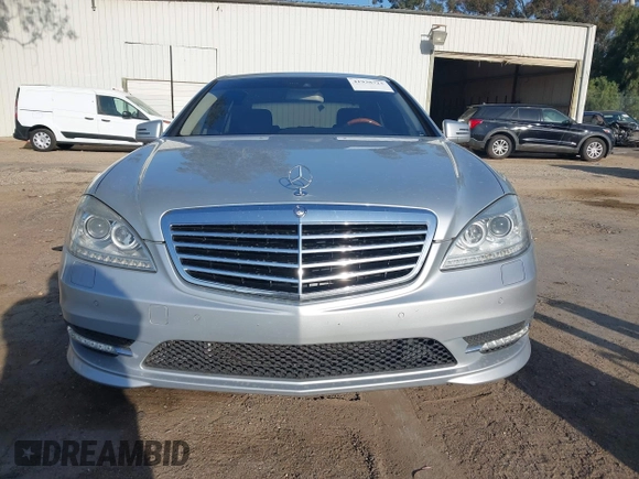 2010 Mercedes-Benz S 550 with VIN WDDNG7BB9AA287204, listed as a IAAI auction lot 41938723 with 120,576 mi miles and . Bid and sale history available at DreamBid. Image 13.