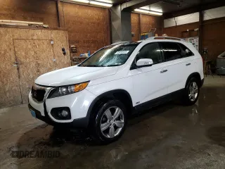 2013 Kia Sorento EX with VIN 5XYKUDA23DG316917, listed as a Copart auction lot 53430435 with 163,533 mi miles and Salvage Title. Bid and sale history available at carsss.com. Image 1.