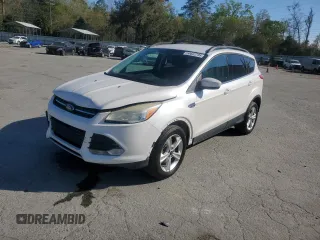 2013 Ford Escape SE with VIN 1FMCU0GXXDUD35409, listed as a Copart auction lot 50602795 with 156,100 mi miles and Salvage Title. Bid and sale history available at carsss.com. Image 1.