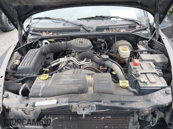 2000 Dodge Dakota with VIN 1B7GL22X2YS763505, listed as a IAAI auction lot 42608242 with 131,159 mi miles and . Bid and sale history available at DreamBid. Image 10.