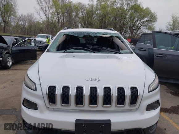 2016 Jeep Cherokee Sport with VIN 1C4PJLAB4GW229799, listed as a IAAI auction lot 41894502 with 117,651 mi miles. Bid and sale history available at carsss.com. Image 13.