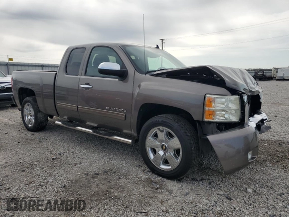 2011 Chevrolet Silverado 1500 LT with VIN 1GCRCSE0XBZ312148, listed as a Copart auction lot 51100515 with 203,183 mi miles and Salvage Title. Bid and sale history available at DreamBid. Image 4.