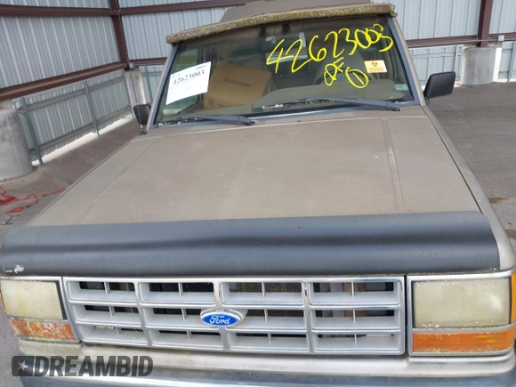 1992 Ford Ranger XLT with VIN 1FTCR10X5NUA12182, listed as a IAAI auction lot 42623003 with Not provided miles and . Bid and sale history available at DreamBid. Image 10.
