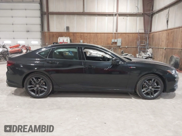 2025 Acura TLX w/A-Spec Package with VIN 19UUB6F50SA000385, listed as a IAAI auction lot 41988181 with 4,231 mi miles and . Bid and sale history available at DreamBid. Image 13.
