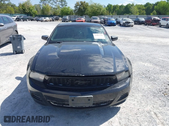 2011 Ford Mustang V6 with VIN 1ZVBP8AM5B5160365, listed as a IAAI auction lot 42003791 with 175,579 mi miles and . Bid and sale history available at carsss.com. Image 13.