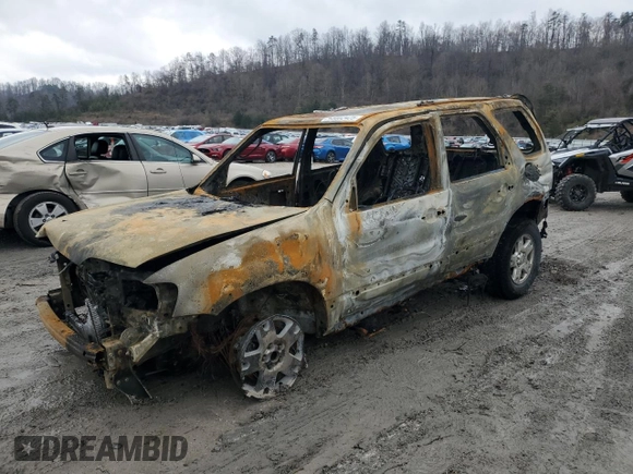 2006 Ford Escape XLT with VIN 1FMYU931X6KC43873, listed as a Copart auction lot 45002425 with 0 mi miles and Salvage Title. Bid and sale history available at carsss.com. Image 1.