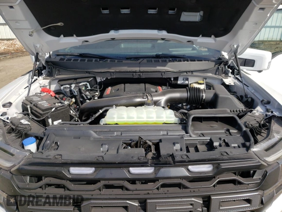 2024 Ford F-150 Raptor with VIN 1FTFW1RG5RFA24884, listed as a Copart auction lot 48981025 with 116 mi miles and Salvage Title. Bid and sale history available at DreamBid. Image 11.