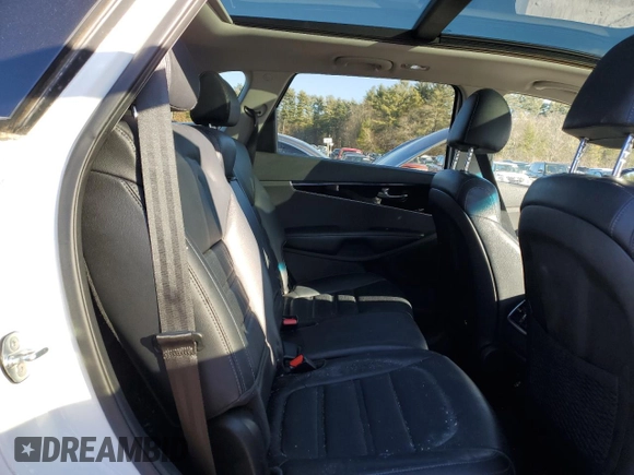 2020 Kia Sorento EX with VIN 5XYPHDA52LG703252, listed as a Copart auction lot 88519845 with 41,155 mi miles and Salvage Title. Bid and sale history available at DreamBid. Image 11.