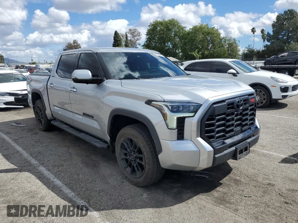 2023 Toyota Tundra Limited with VIN 5TFJA5DB4PX120864, listed as a Copart auction lot 48952505 with 19,169 mi miles and Salvage title. Bid and sale history available at DreamBid. Image 4.