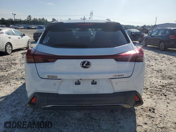 2019 Lexus UX 200 с VIN JTHY3JBH5K2000682, выставлен на аукционе Copart как лот 60909835 с пробегом 53 370 миль миль и Списание • Salvage title. История ставок и продаж доступна на DreamBid. Изображение 6.