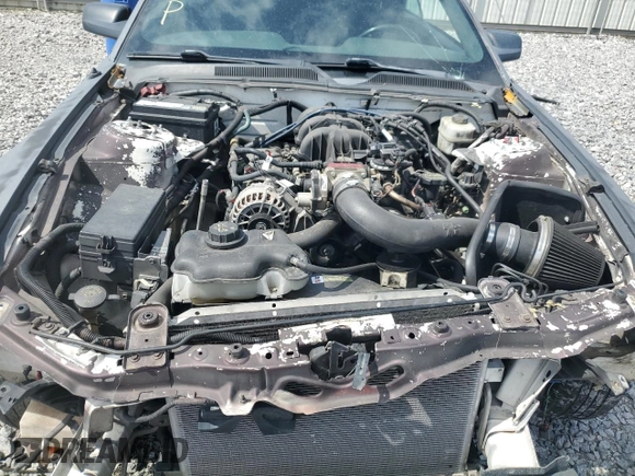 2006 Ford Mustang Standard with VIN 1ZVFT84N865126752, listed as a Copart auction lot 57160965 with Not provided miles and Salvage title. Bid and sale history available at DreamBid. Image 11.