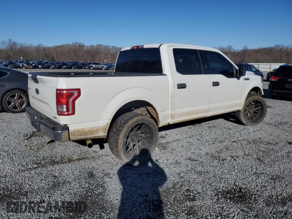 2016 Ford F-150 XL with VIN 1FTEW1CF4GFB28274, listed as a Copart auction lot 86977004 with 202,243 mi miles and Salvage Title. Bid and sale history available at carsss.com. Image 3.