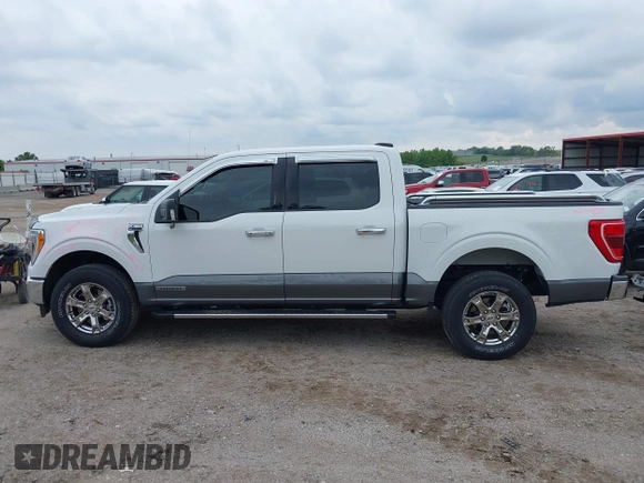 2021 Ford F-150 XL z VIN 1FTFW1ED7MFB36946, wystawiony jako IAAI lot #42318029 z przebiegiem 16 960 mil mil oraz . Historia ofert i sprzedaży dostępna na DreamBid. Obrazek 14.