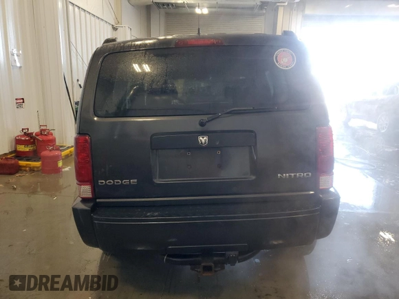 2010 Dodge Nitro SE with VIN 1D4PU2GK3AW144889, listed as a Copart auction lot 84314234 with 115,419 mi miles and Non Repairable. Bid and sale history available at DreamBid. Image 6.