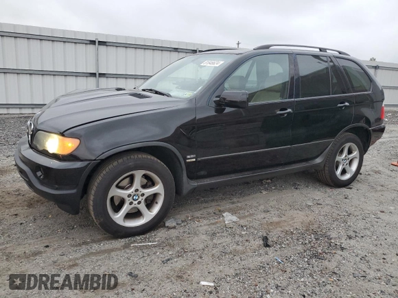 2003 BMW X5 3.0i with VIN 5UXFA53563LV93490, listed as a Copart auction lot 81846624 with 254,679 mi miles and Salvage Title. Bid and sale history available at carsss.com. Image 1.