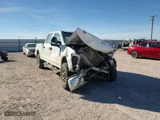 2022 Ford Super Duty F-250 SRW XL with VIN 1FT7W2B65NEF55546, listed as a Copart auction lot 43663015 with 0 mi miles and Salvage Title. Bid and sale history available at carsss.com. Image 11.
