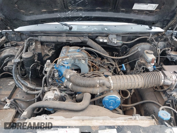 1995 Ford F-150 with VIN 1FTEX14N3SKC22102, listed as a IAAI auction lot 42384147 with 227,870 mi miles and . Bid and sale history available at DreamBid. Image 10.