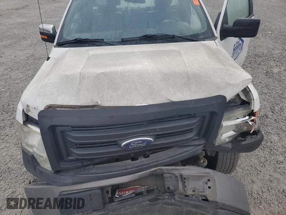 2014 Ford F-150 XL with VIN 1FTMF1CM7EKD61547, listed as a Copart auction lot 74311804 with 175,203 mi miles and Salvage title. Bid and sale history available at DreamBid. Image 12.